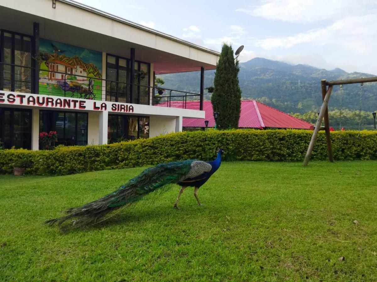 Hotel & Restaurante Campestre La Siria San Juan de Rioseco Eksteriør bilde